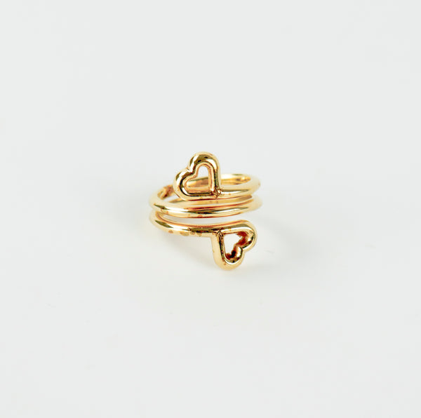ACCESORIO LOUIS VUITTON