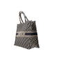 BOLSA CHRISTIAN DIOR